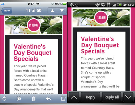 What the email looks like on iPhone and Android.